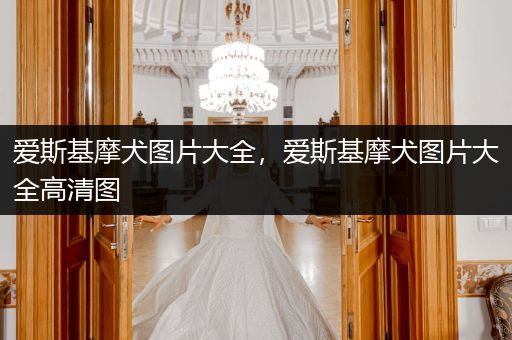 愛斯基摩犬圖片大全，愛斯基摩犬圖片大全高清圖