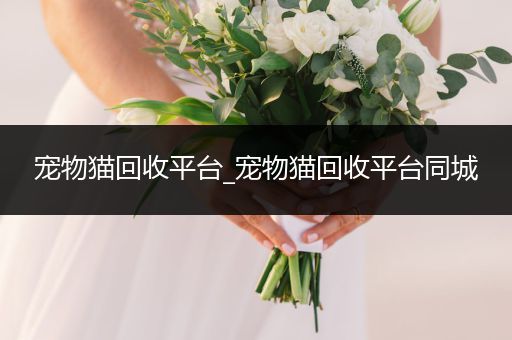 寵物貓回收平臺(tái)_寵物貓回收平臺(tái)同城