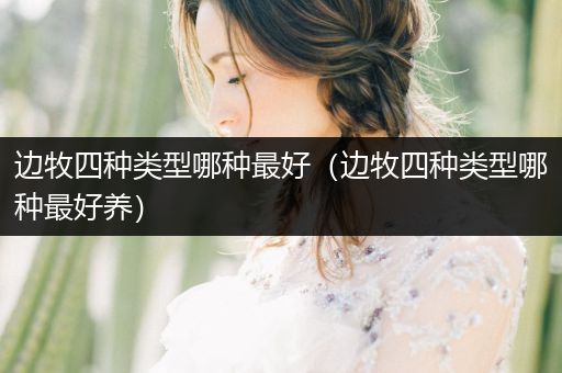 邊牧四種類型哪種最好（邊牧四種類型哪種最好養(yǎng)）