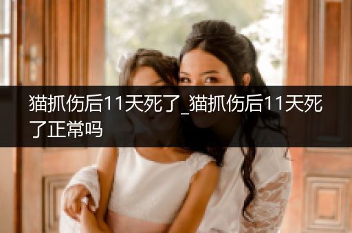 貓抓傷后11天死了_貓抓傷后11天死了正常嗎