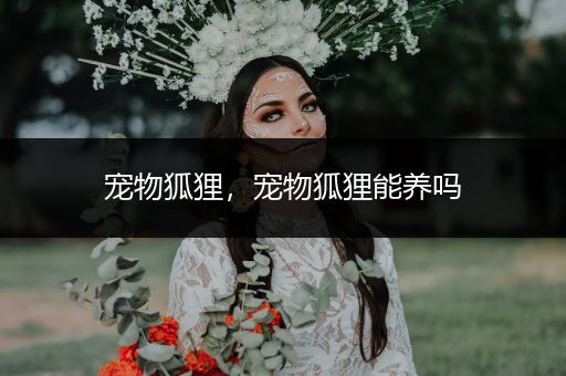 寵物狐貍，寵物狐貍能養(yǎng)嗎