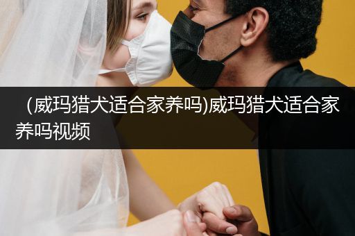 （威瑪獵犬適合家養(yǎng)嗎)威瑪獵犬適合家養(yǎng)嗎視頻