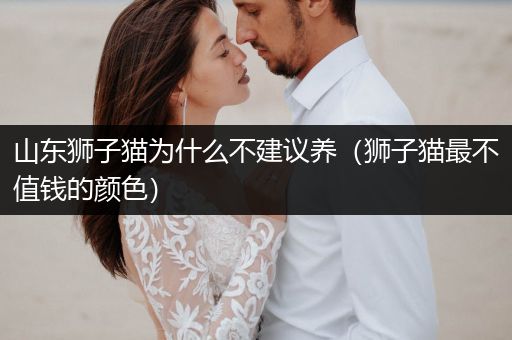 山東獅子貓為什么不建議養(yǎng)（獅子貓最不值錢的顏色）