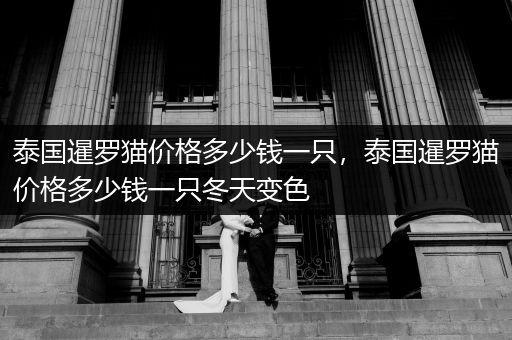泰國暹羅貓價格多少錢一只，泰國暹羅貓價格多少錢一只冬天變色