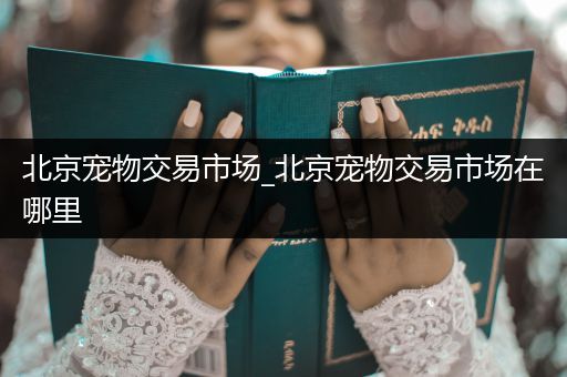 北京寵物交易市場(chǎng)_北京寵物交易市場(chǎng)在哪里