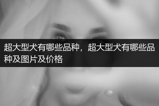 超大型犬有哪些品種，超大型犬有哪些品種及圖片及價格