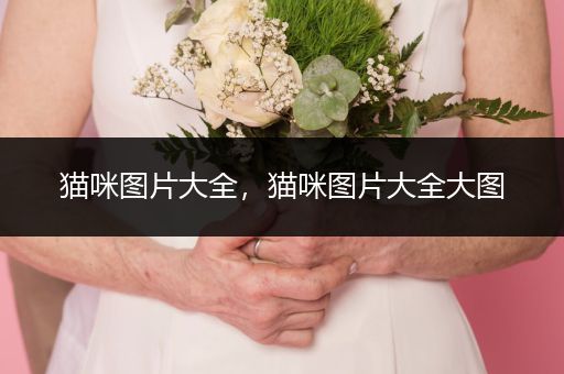 貓咪圖片大全，貓咪圖片大全大圖