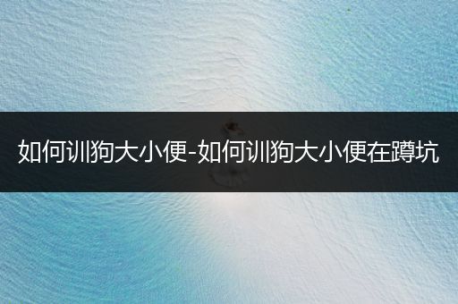 如何訓(xùn)狗大小便-如何訓(xùn)狗大小便在蹲坑