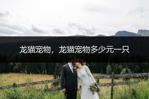 龍貓寵物，龍貓寵物多少元一只