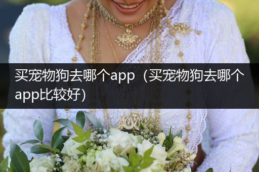 買寵物狗去哪個app（買寵物狗去哪個app比較好）