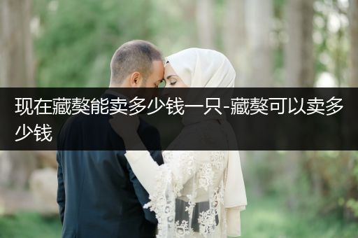 現(xiàn)在藏獒能賣多少錢一只-藏獒可以賣多少錢