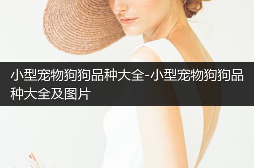 小型寵物狗狗品種大全-小型寵物狗狗品種大全及圖片