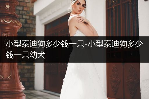 小型泰迪狗多少錢一只-小型泰迪狗多少錢一只幼犬