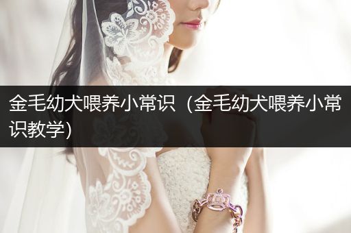 金毛幼犬喂養(yǎng)小常識(shí)（金毛幼犬喂養(yǎng)小常識(shí)教學(xué)）