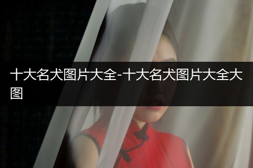 十大名犬圖片大全-十大名犬圖片大全大圖