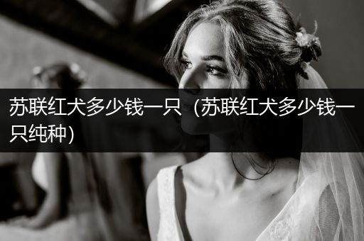 蘇聯(lián)紅犬多少錢一只（蘇聯(lián)紅犬多少錢一只純種）