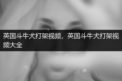 英國(guó)斗牛犬打架視頻，英國(guó)斗牛犬打架視頻大全