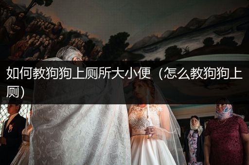 如何教狗狗上廁所大小便（怎么教狗狗上廁）