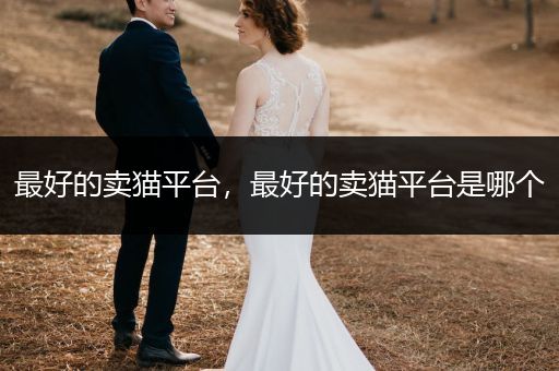最好的賣貓平臺，最好的賣貓平臺是哪個(gè)
