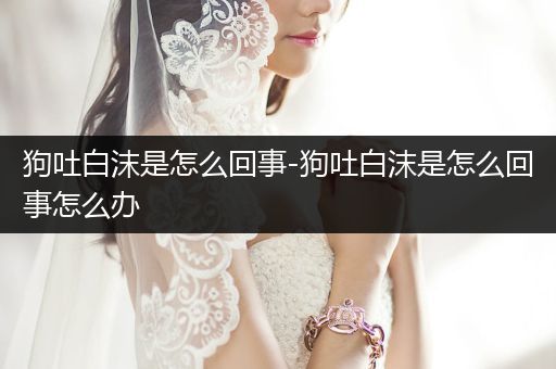 狗吐白沫是怎么回事-狗吐白沫是怎么回事怎么辦