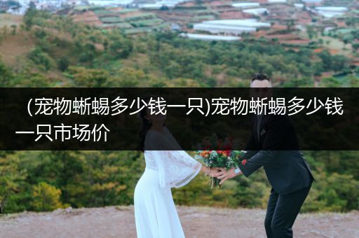 （寵物蜥蜴多少錢一只)寵物蜥蜴多少錢一只市場價