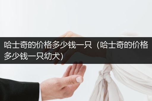 哈士奇的價格多少錢一只（哈士奇的價格多少錢一只幼犬）