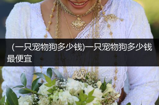 (一只寵物狗多少錢(qián))一只寵物狗多少錢(qián)最便宜