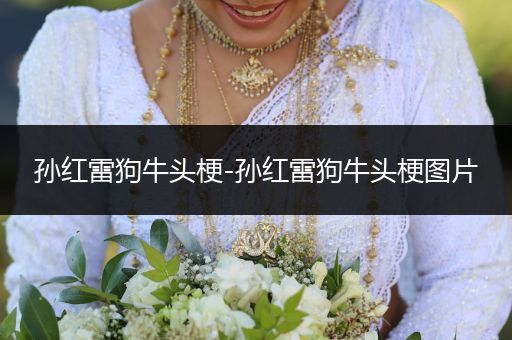 孫紅雷狗牛頭梗-孫紅雷狗牛頭梗圖片