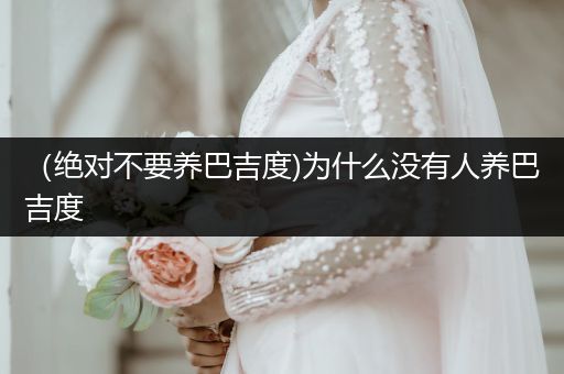 （絕對(duì)不要養(yǎng)巴吉度)為什么沒(méi)有人養(yǎng)巴吉度