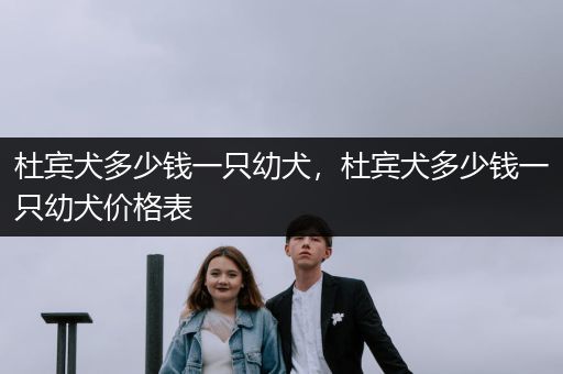 杜賓犬多少錢一只幼犬，杜賓犬多少錢一只幼犬價格表