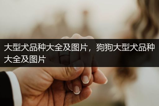 大型犬品種大全及圖片，狗狗大型犬品種大全及圖片