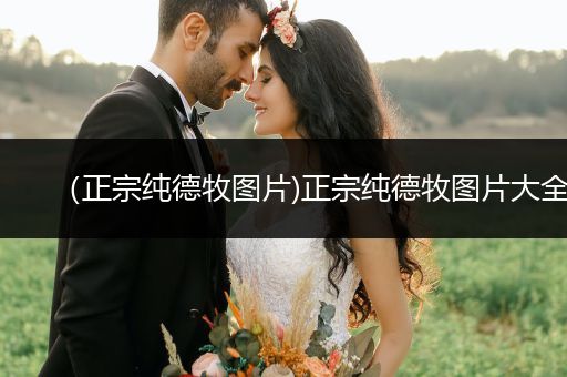 （正宗純德牧圖片)正宗純德牧圖片大全