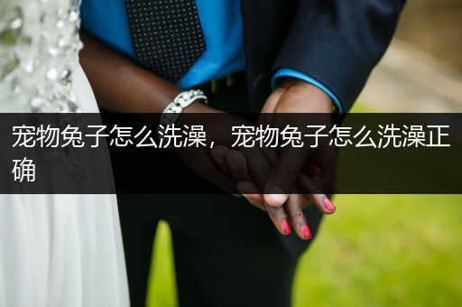 寵物兔子怎么洗澡，寵物兔子怎么洗澡正確
