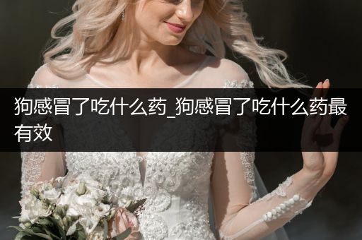 狗感冒了吃什么藥_狗感冒了吃什么藥最有效