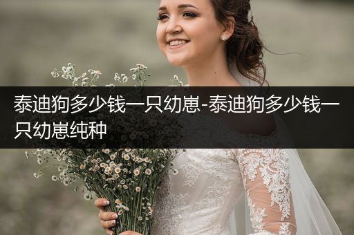 泰迪狗多少錢一只幼崽-泰迪狗多少錢一只幼崽純種