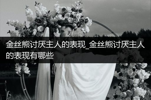金絲熊討厭主人的表現(xiàn)_金絲熊討厭主人的表現(xiàn)有哪些