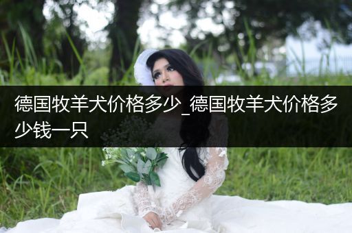 德國牧羊犬價(jià)格多少_德國牧羊犬價(jià)格多少錢一只