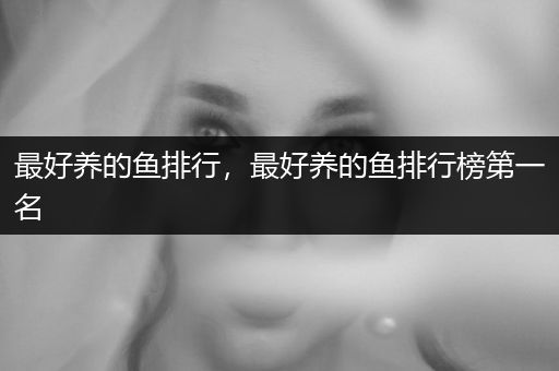 最好養(yǎng)的魚排行，最好養(yǎng)的魚排行榜第一名