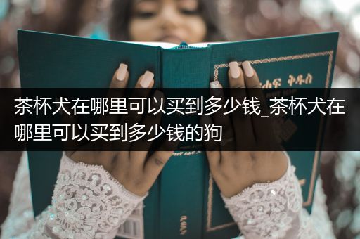 茶杯犬在哪里可以買到多少錢_茶杯犬在哪里可以買到多少錢的狗