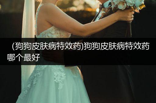 （狗狗皮膚病特效藥)狗狗皮膚病特效藥哪個最好