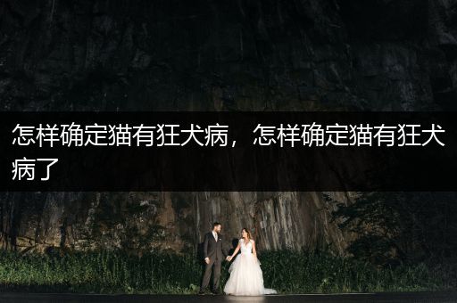 怎樣確定貓有狂犬病，怎樣確定貓有狂犬病了