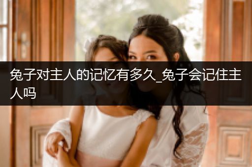 兔子對主人的記憶有多久_兔子會記住主人嗎