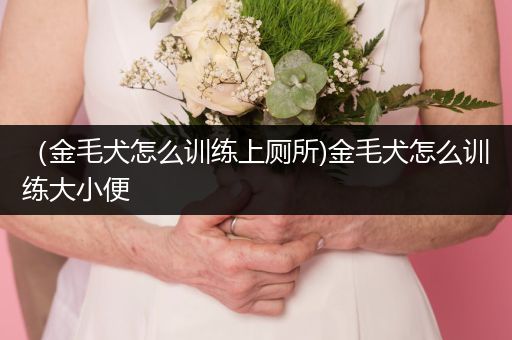 （金毛犬怎么訓(xùn)練上廁所)金毛犬怎么訓(xùn)練大小便