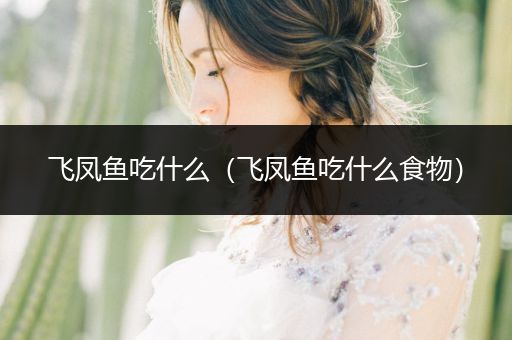 飛鳳魚吃什么（飛鳳魚吃什么食物）