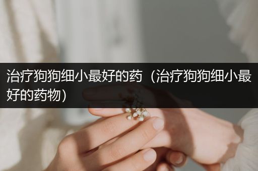 治療狗狗細(xì)小最好的藥（治療狗狗細(xì)小最好的藥物）