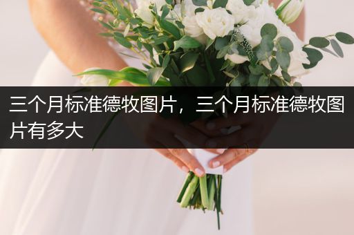 三個月標(biāo)準(zhǔn)德牧圖片,三個月標(biāo)準(zhǔn)德牧圖片有多大