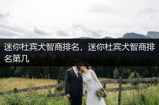 迷你杜賓犬智商排名，迷你杜賓犬智商排名第幾