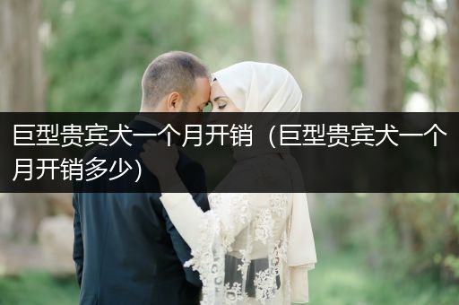 巨型貴賓犬一個(gè)月開銷（巨型貴賓犬一個(gè)月開銷多少）