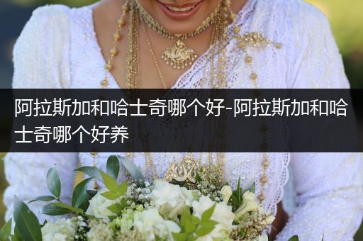 阿拉斯加和哈士奇哪個(gè)好-阿拉斯加和哈士奇哪個(gè)好養(yǎng)