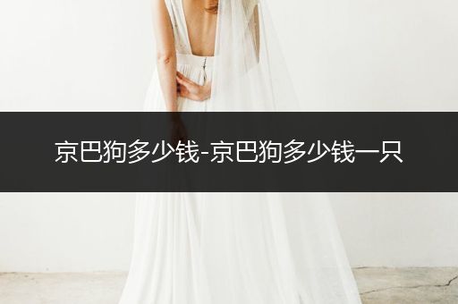 京巴狗多少錢-京巴狗多少錢一只